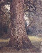John Constable Study of the trunk of an elm tree painting
